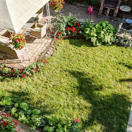 Apartament Holly Vendeghaz *