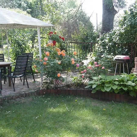 Holly Vendeghaz * Hajdúszoboszló